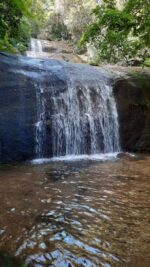 Trilha Da Cachoeira Dos Primatas Um Passeio No Rio De Janeiro Viajar