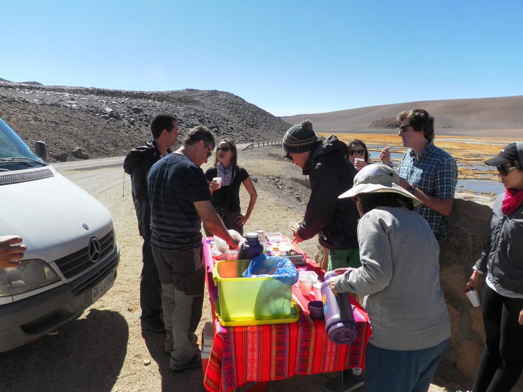 Como ir ao Salar de Tara no Atacama