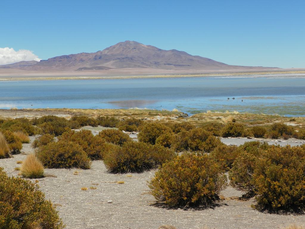 O que fazer no Atacama Salar de Tara