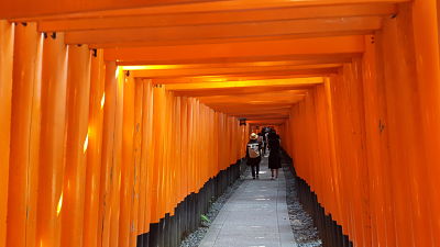 caminho dos toris templo inari japão