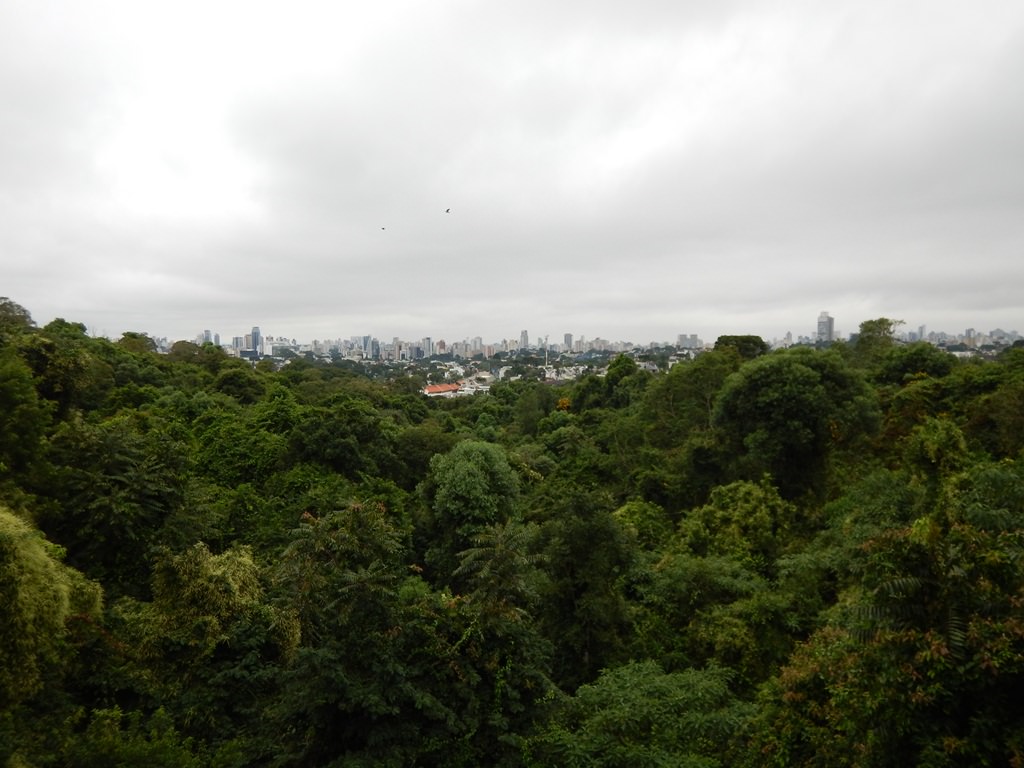 Bosque do Alemão em Curitiba