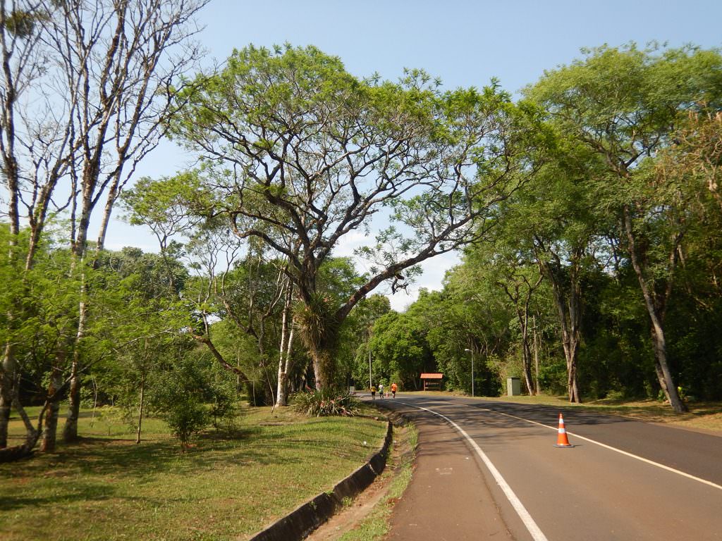Maratona Internacional de Foz do Iguaçu