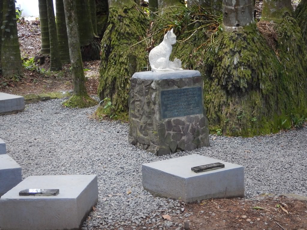 Cemitério dos Gatos em Blumenau