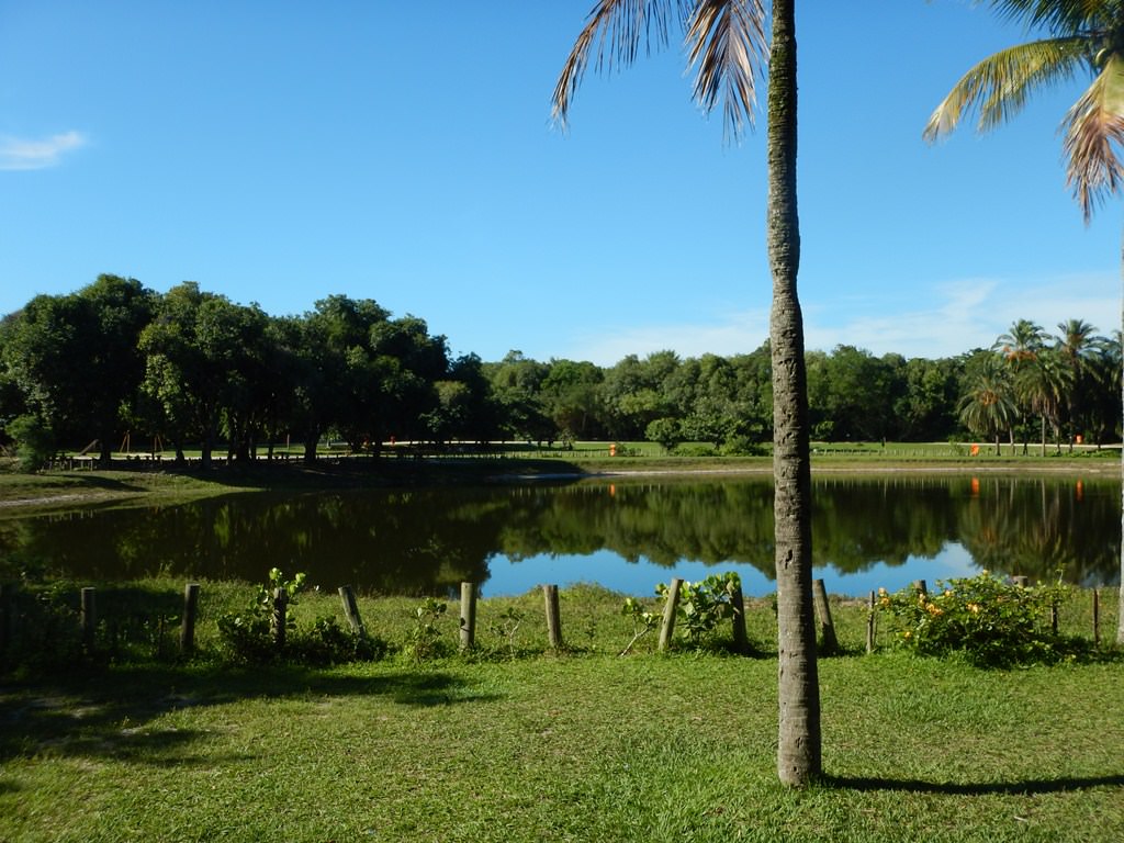 Lago Central no Bosque da Barra