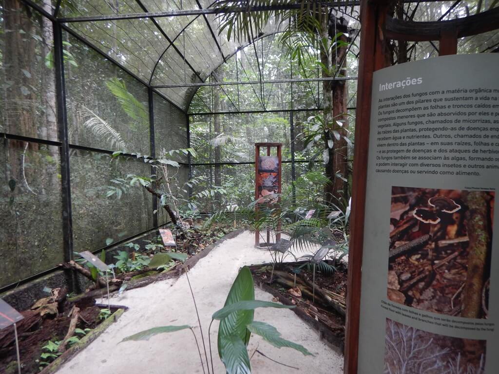 Museu da Amazônia Jardim Botânico de Manaus