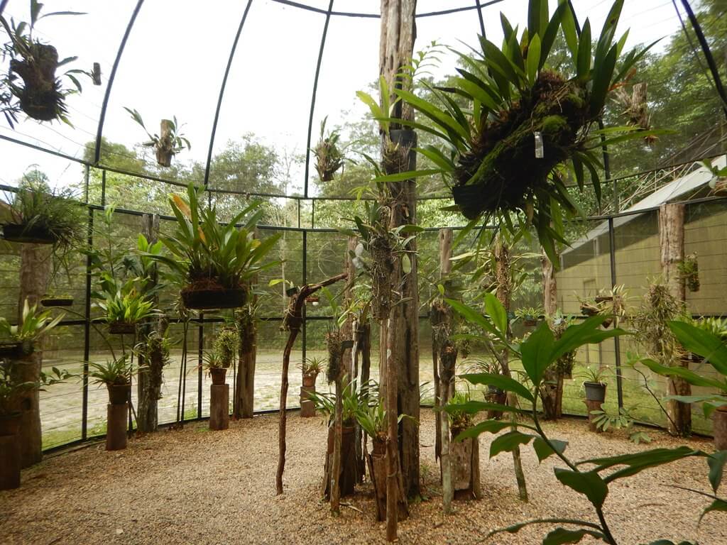 Museu da Amazônia Jardim Botânico de Manaus