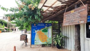 O que fazer em Jericoacoara