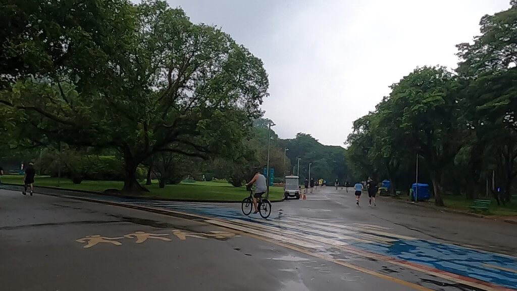 Bicicleta no Parque Ibirapuera
