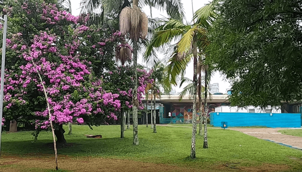 Marquise no Parque Ibirapuera