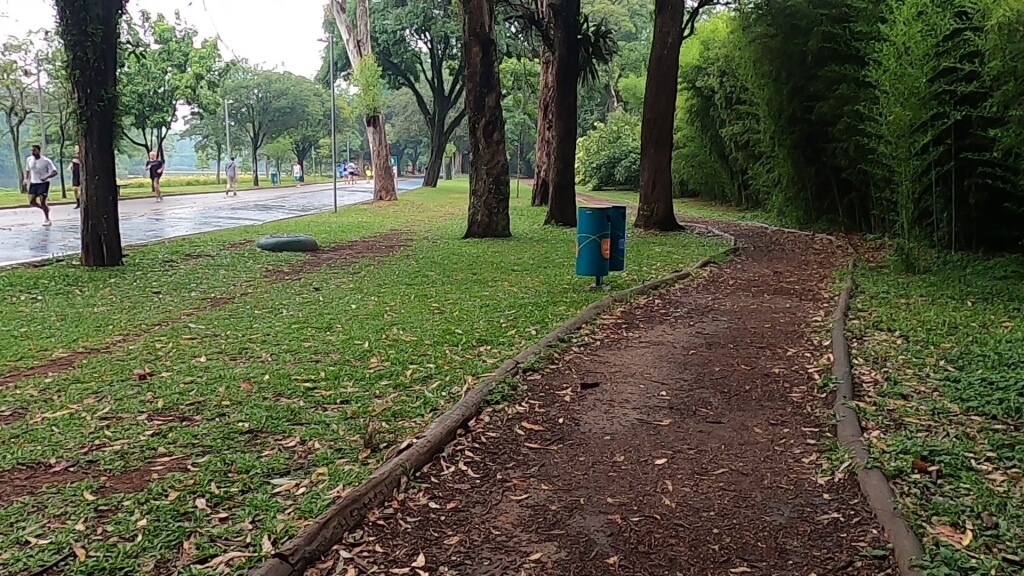 Trilha no Parque Ibirapuera