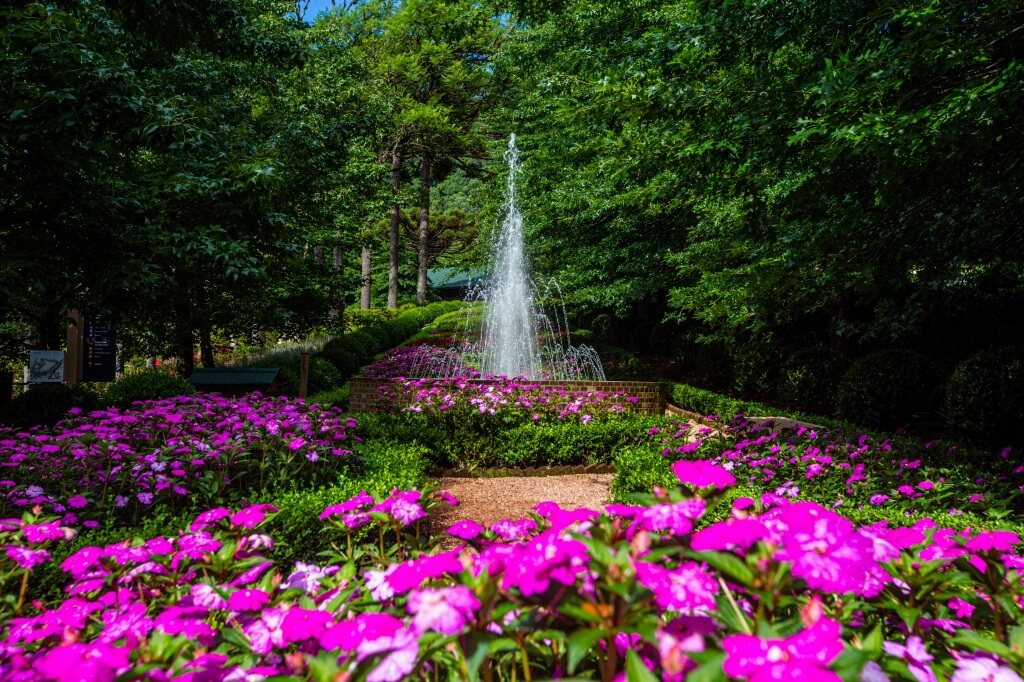 Garden Park Gramado