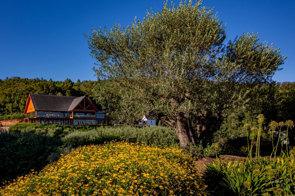 Parque Olivas de Gramado