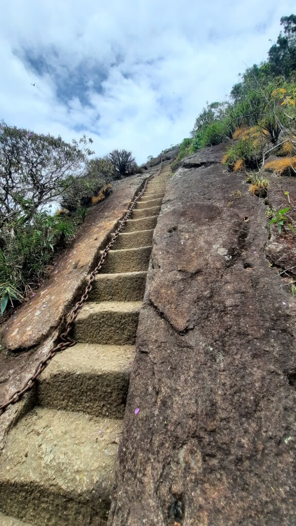 Trilha para o Pico da Tijuca no PNT