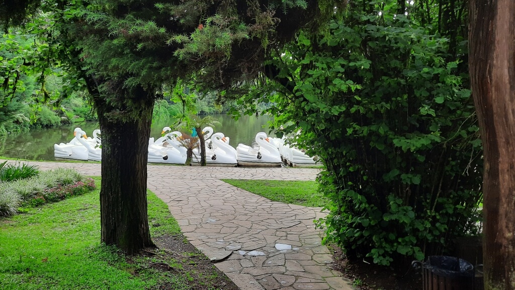 Pedalinhos no Lago Negro