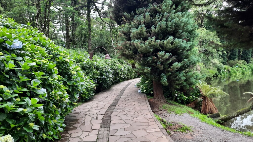 Volta ao Lago Negro em Gramado