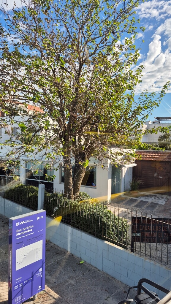 City tour privado montevideo