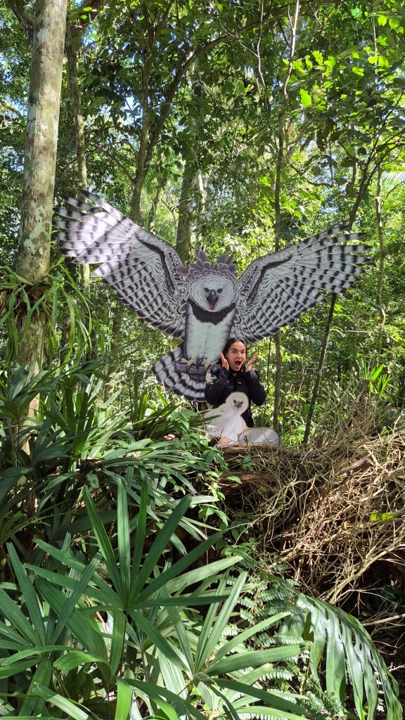 Parque das Aves Araras