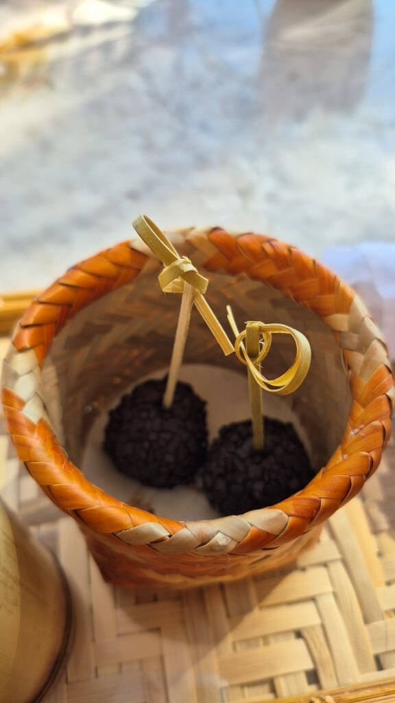 Check-in Hotel das Cataratas