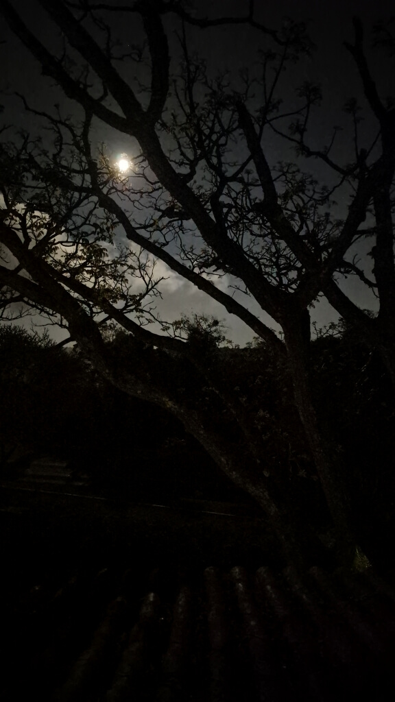 Passeio nas cataratas à noite