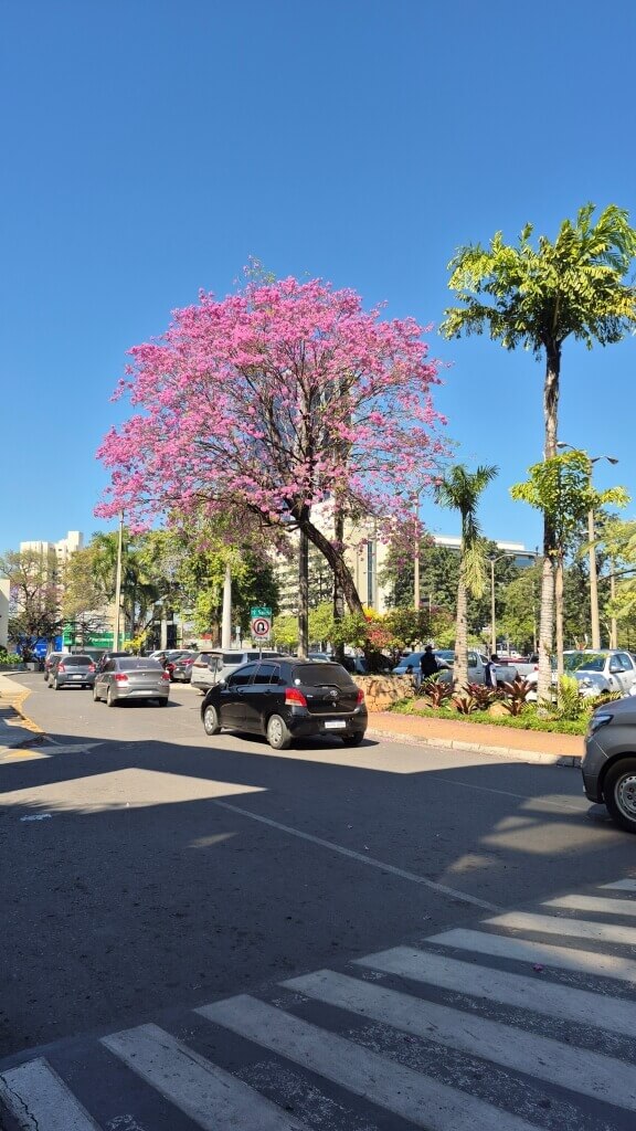 O que fazer em Assunção em 2 dias