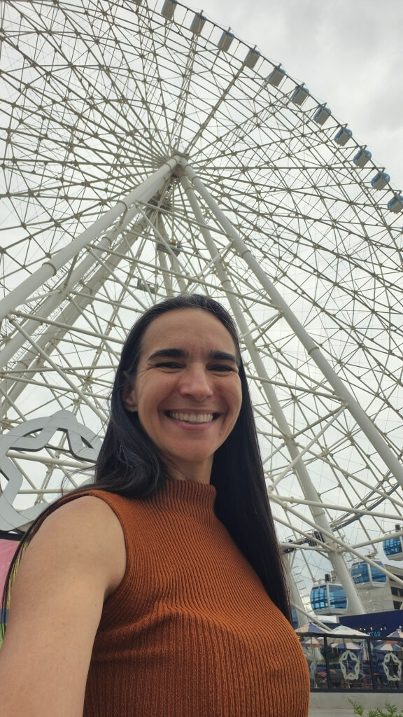 Yup Star Roda Gigante Rio de Janeiro